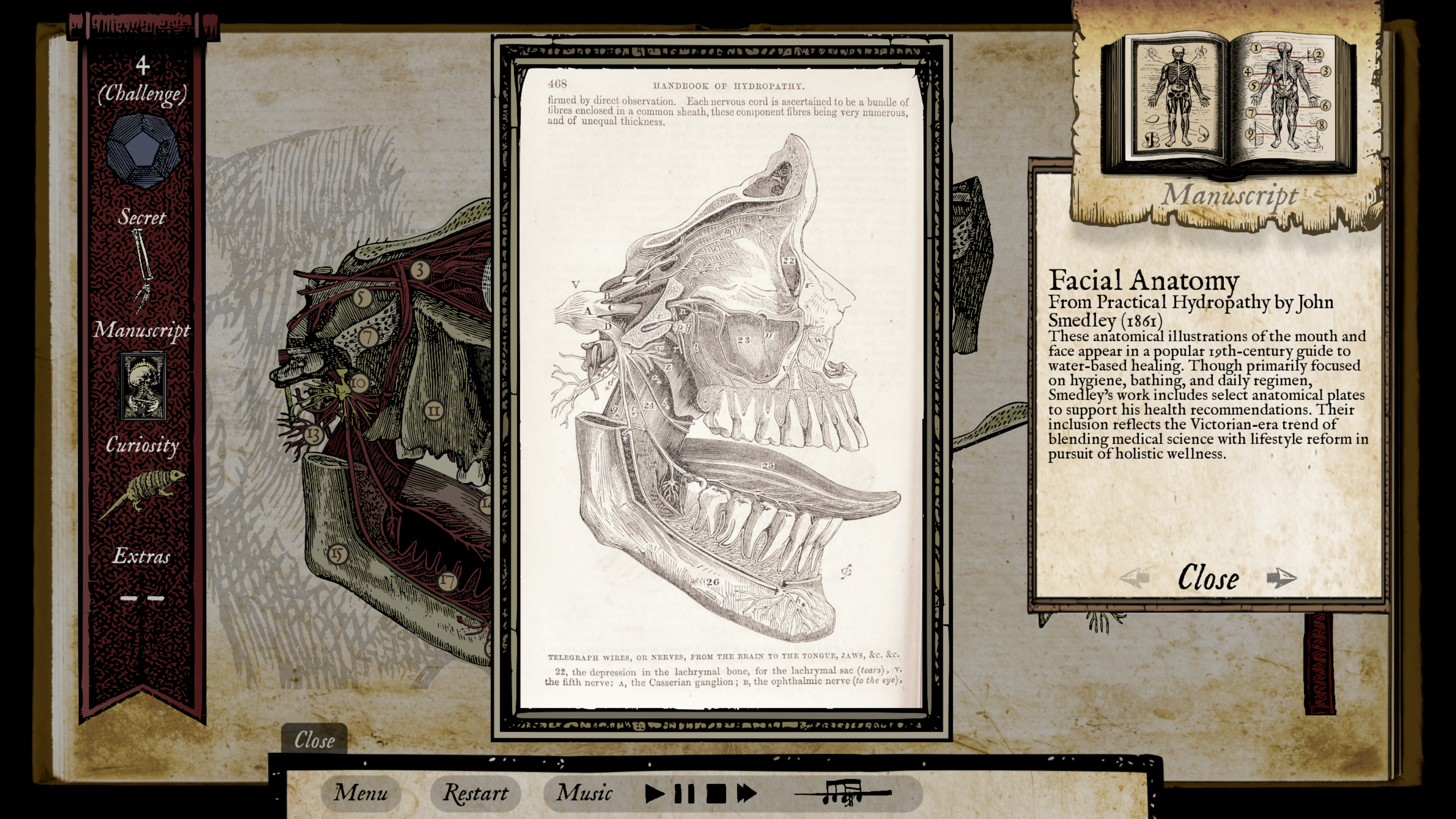 03_SS04 Face Anatomy.png